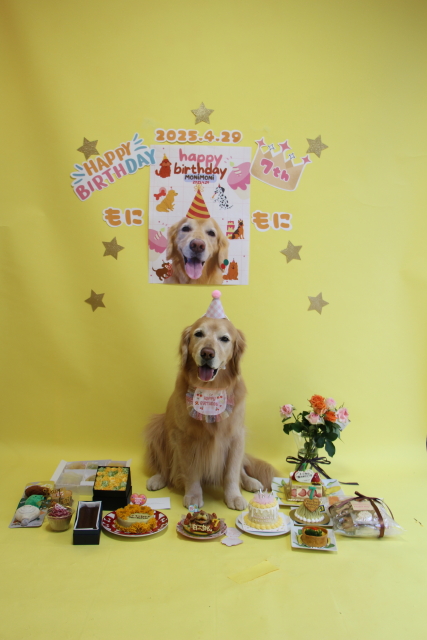 ファイル 8946-1.jpg