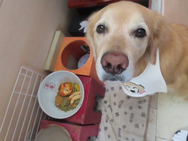 ファイル 8947-2.jpg