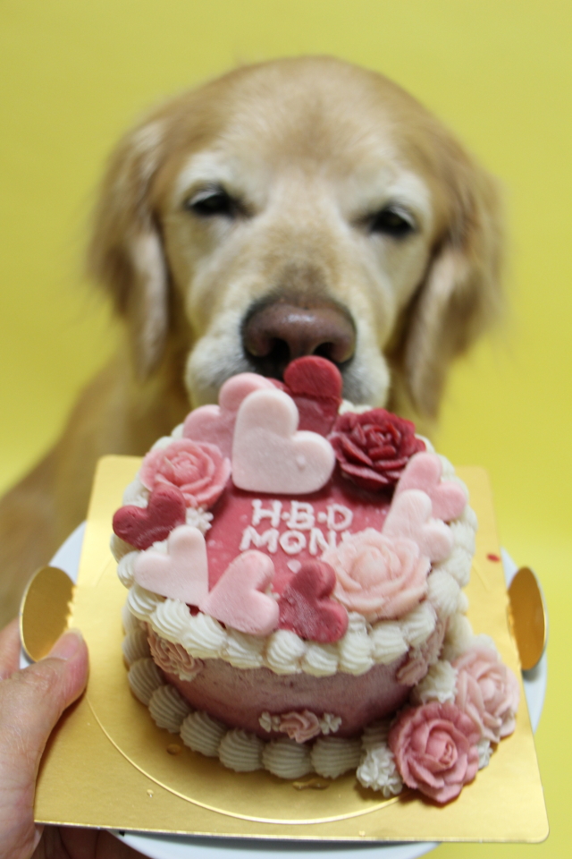 ファイル 8947-3.jpg