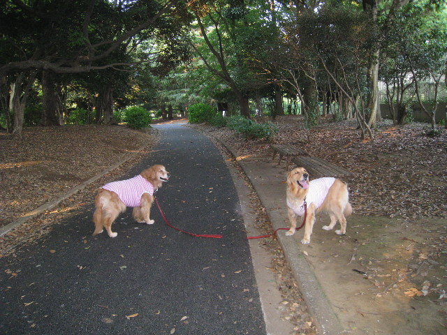 ファイル 895-1.jpg