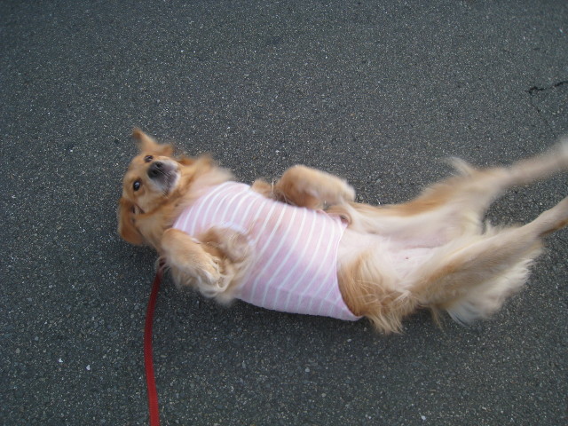 ファイル 895-3.jpg