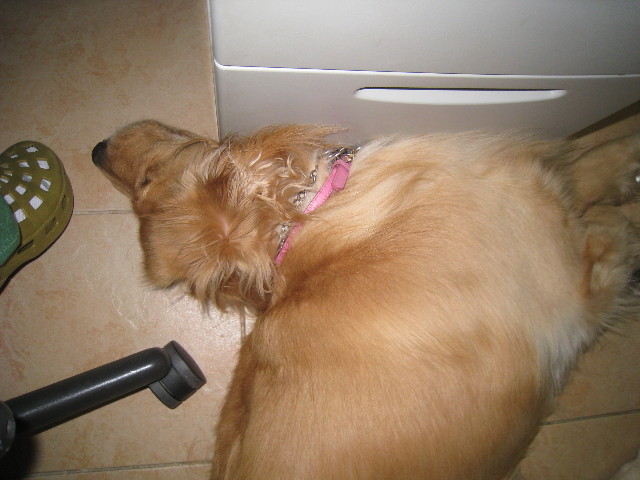 ファイル 895-5.jpg