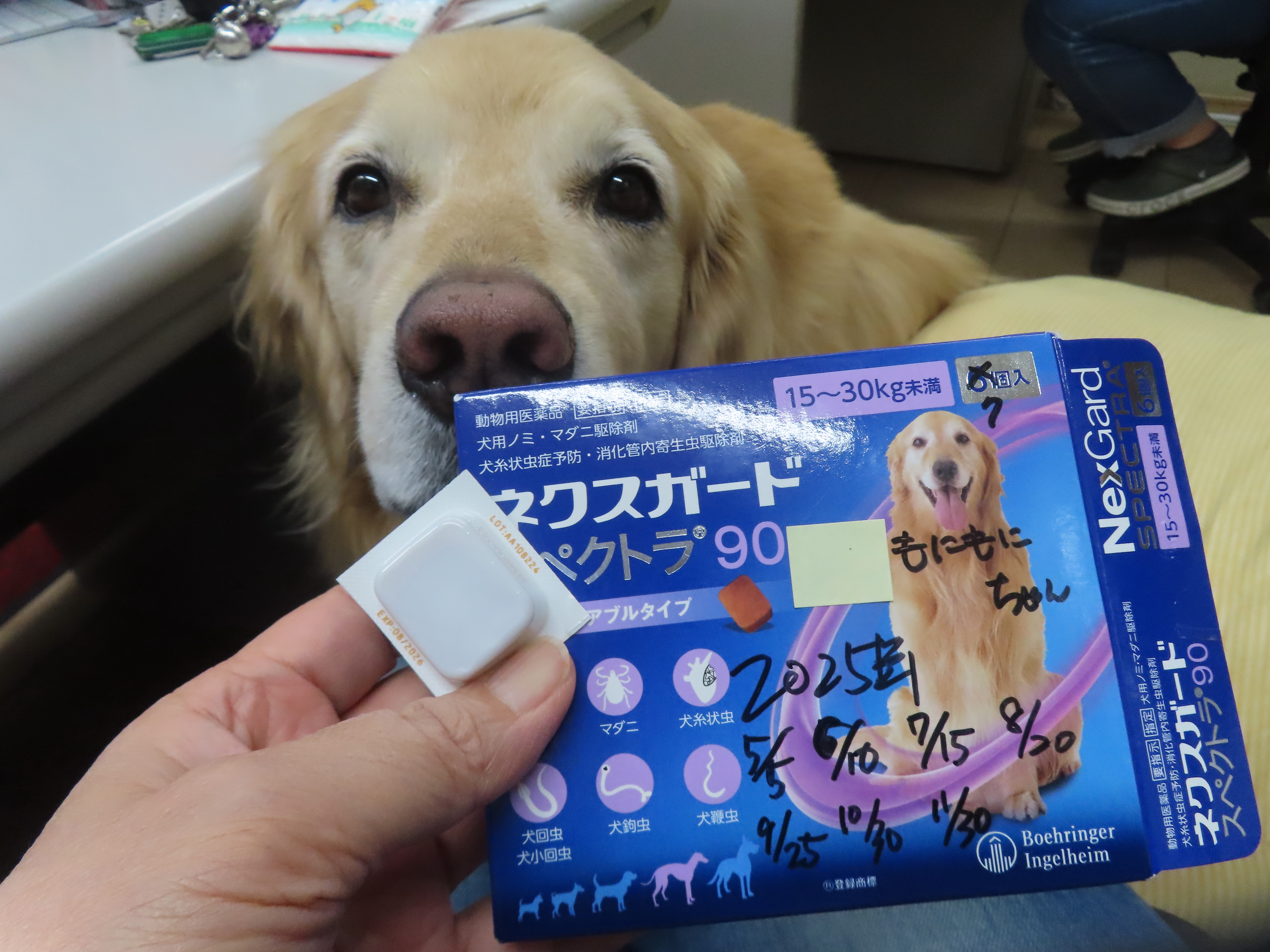 ファイル 8950-3.jpg