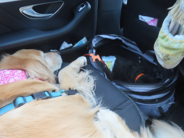 ファイル 8952-5.jpg