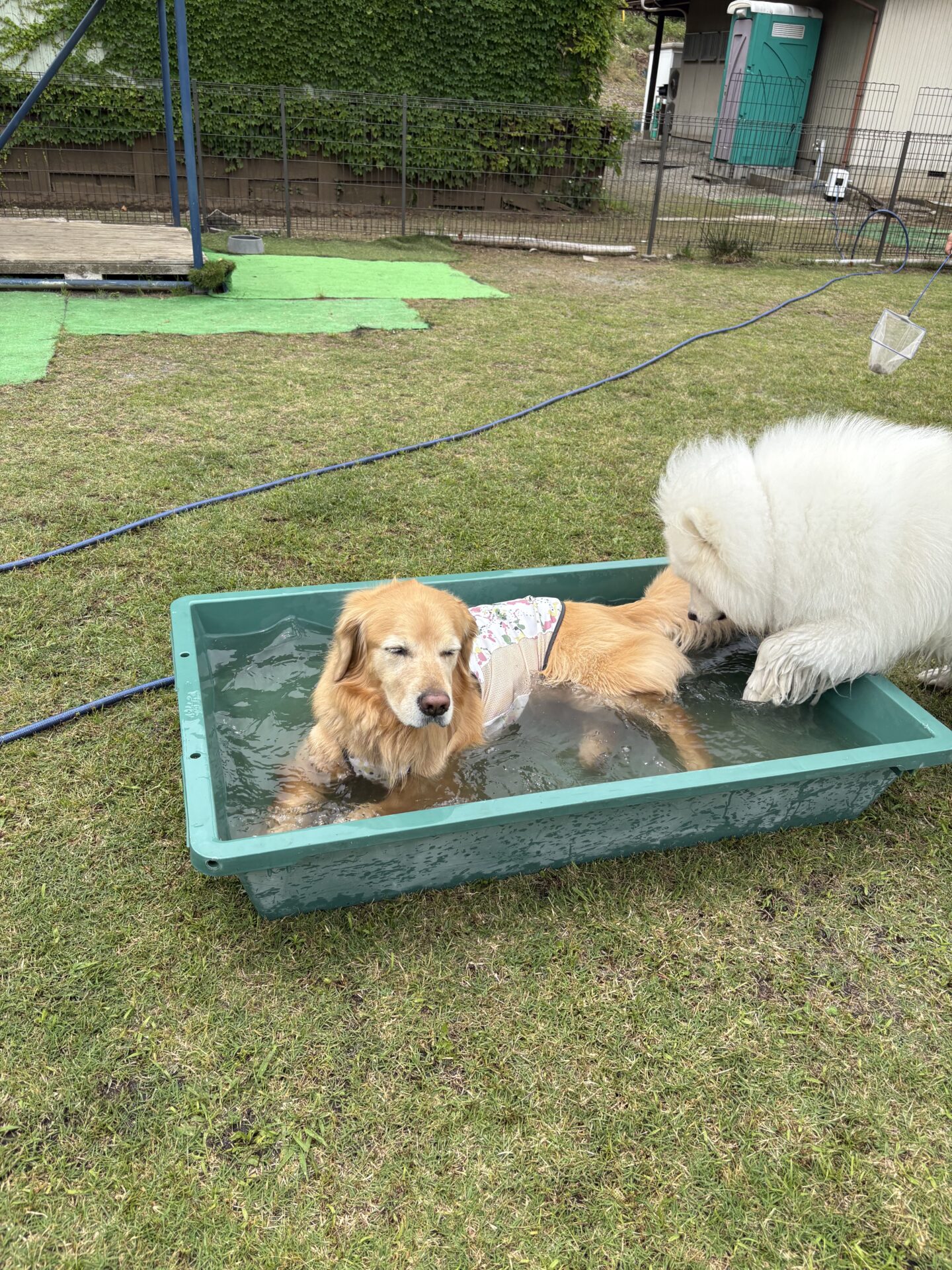 ファイル 8956-3.jpeg