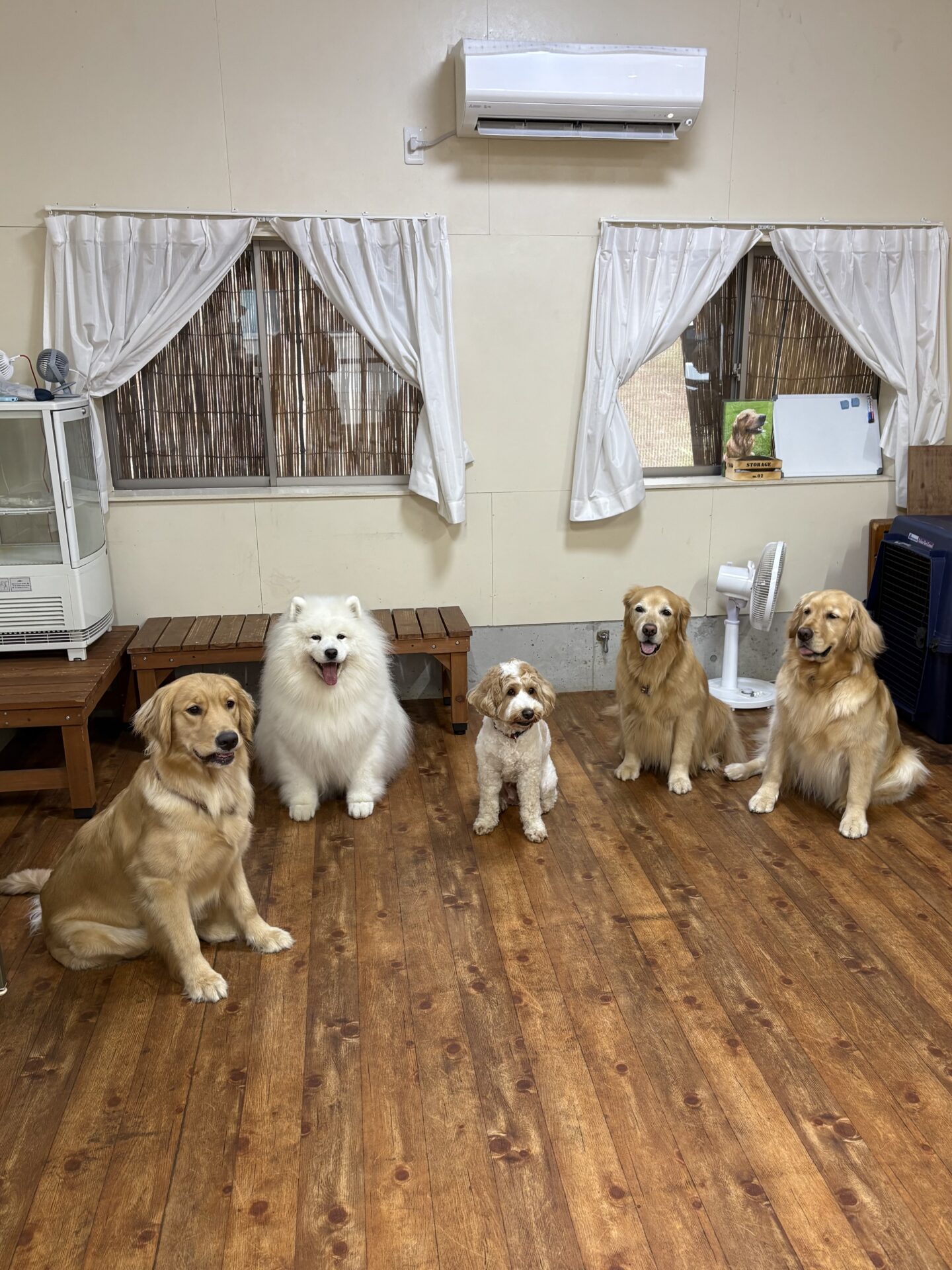 ファイル 8956-4.jpeg