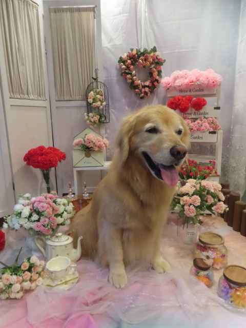 ファイル 8957-3.jpg