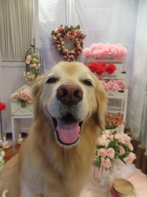 ファイル 8957-4.jpg