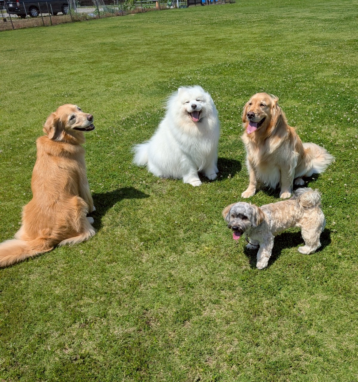 ファイル 8958-2.jpeg