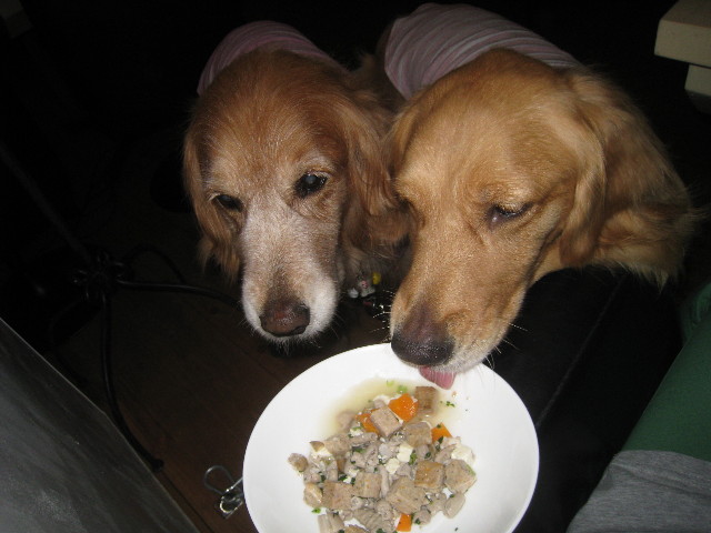 ファイル 896-1.jpg