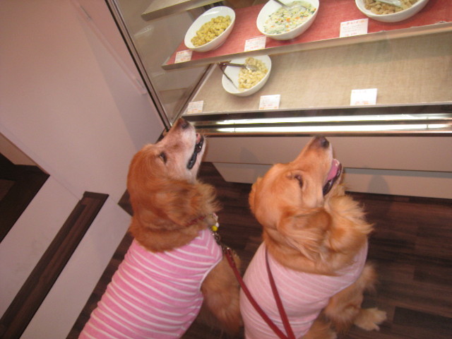 ファイル 896-2.jpg