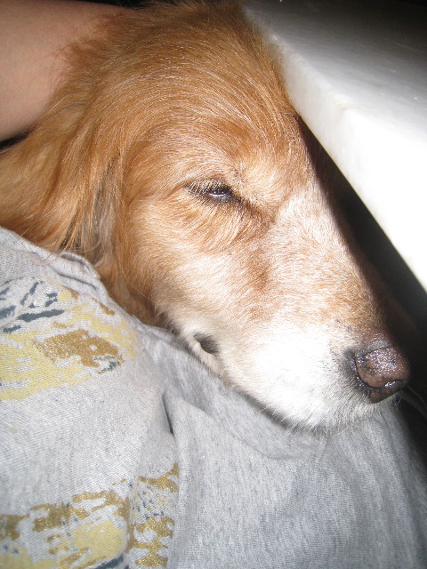 ファイル 896-4.jpg