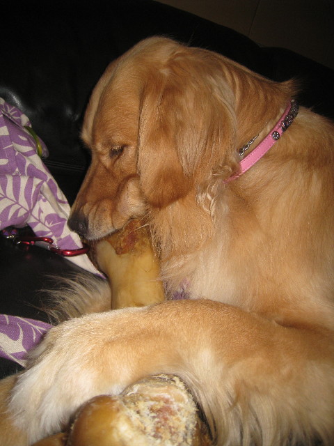 ファイル 896-5.jpg