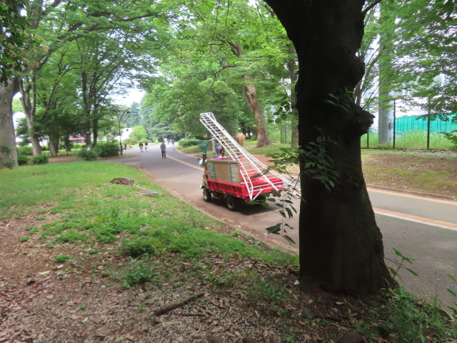 ファイル 8960-3.jpg