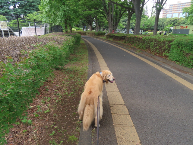 ファイル 8960-4.jpg