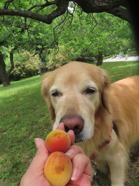 ファイル 8963-4.jpg