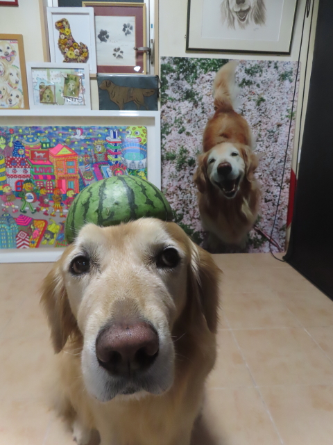 ファイル 8966-2.jpg