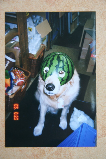 ファイル 8966-5.jpg