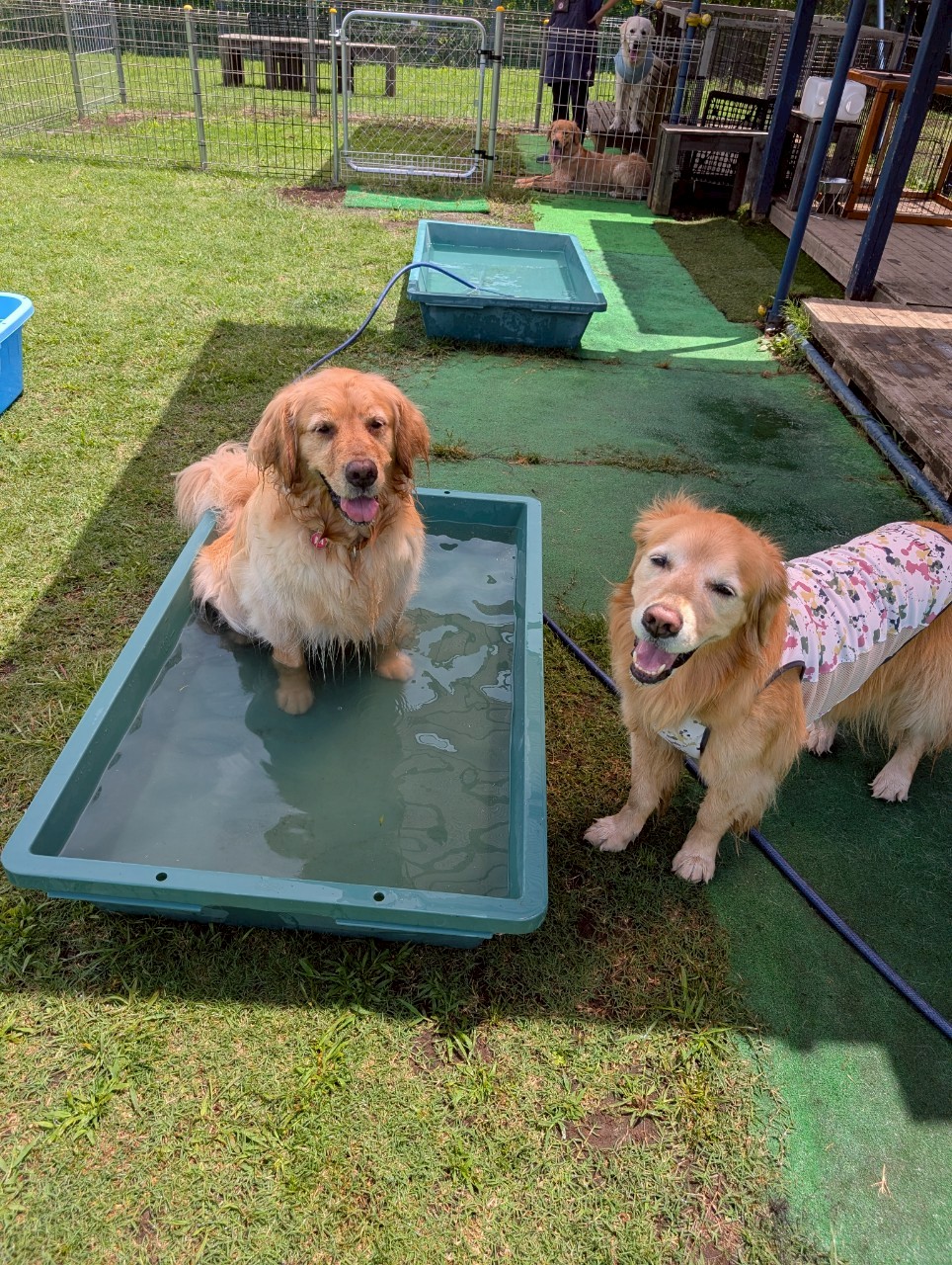 ファイル 8967-4.jpeg