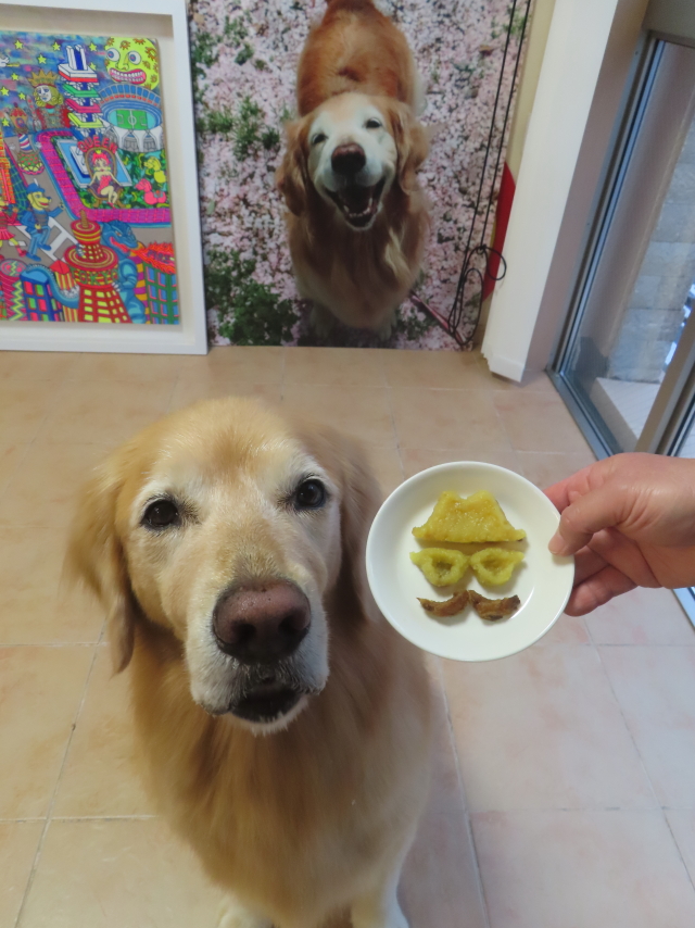 ファイル 8969-3.jpg