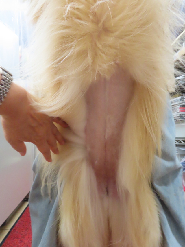 ファイル 8969-4.jpg