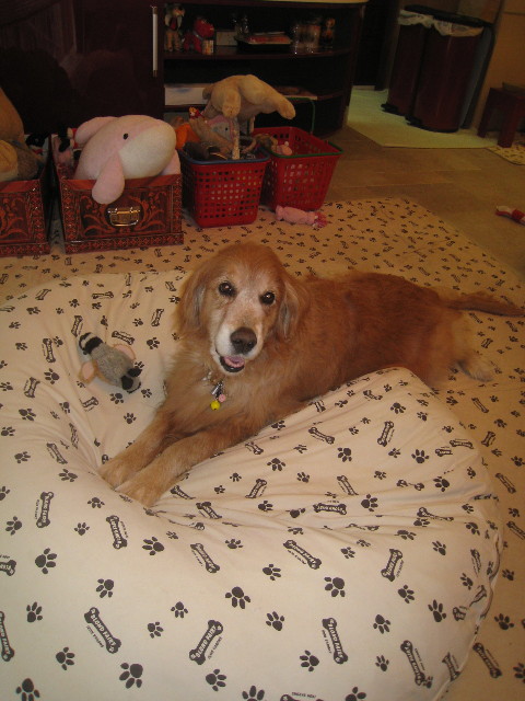 ファイル 897-1.jpg