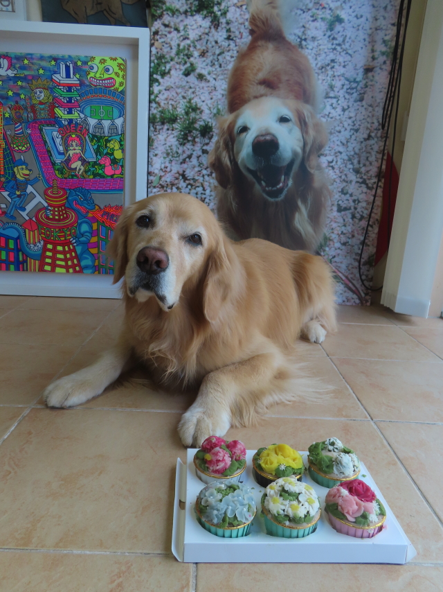 ファイル 8971-5.jpg