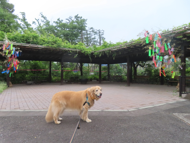 ファイル 8974-1.jpg