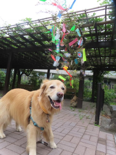 ファイル 8974-2.jpg