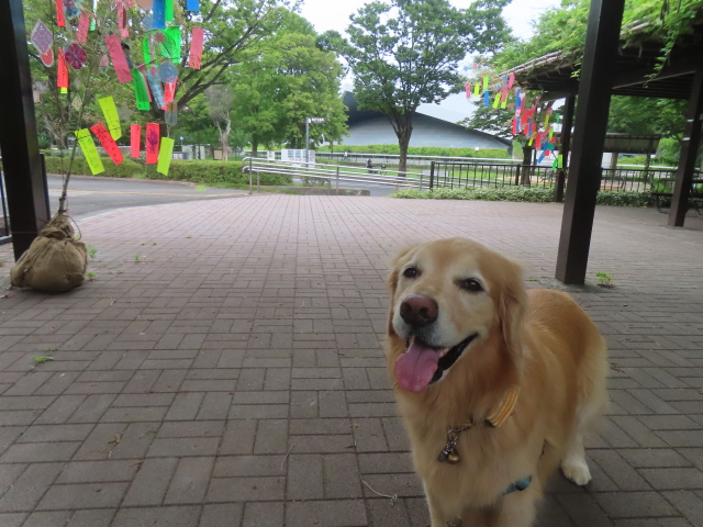 ファイル 8974-4.jpg