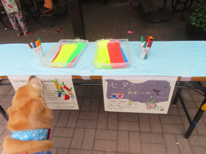 ファイル 8976-2.jpg