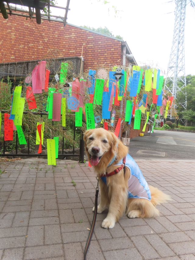 ファイル 8976-3.jpg