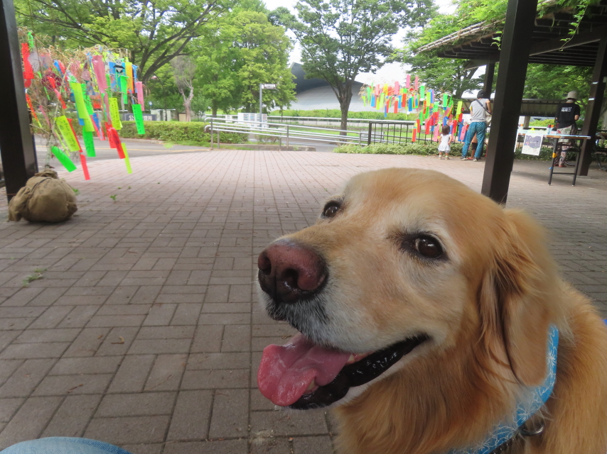 ファイル 8976-4.jpg