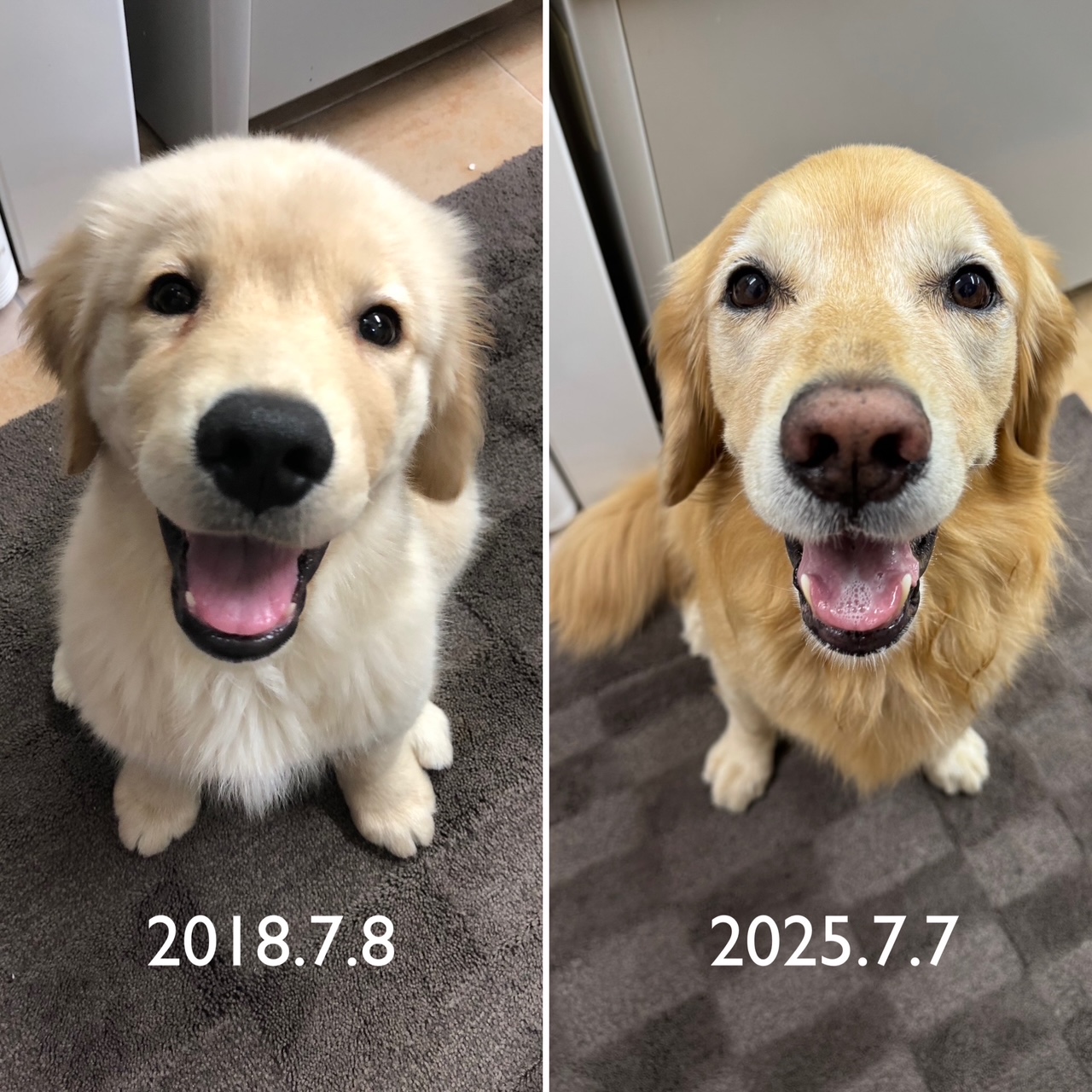 ファイル 8977-1.jpg