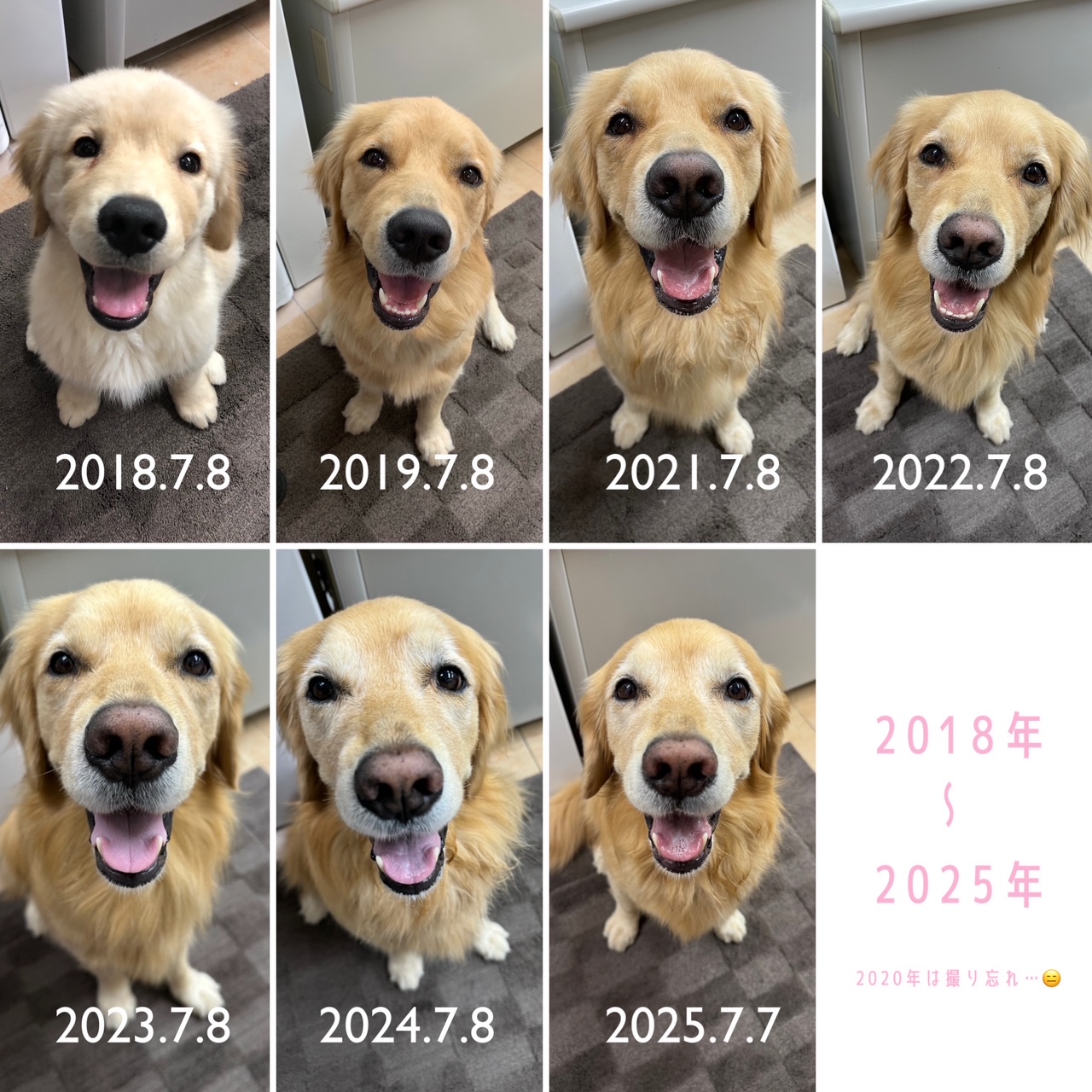 ファイル 8977-2.jpg