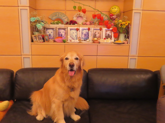 ファイル 8977-3.jpg