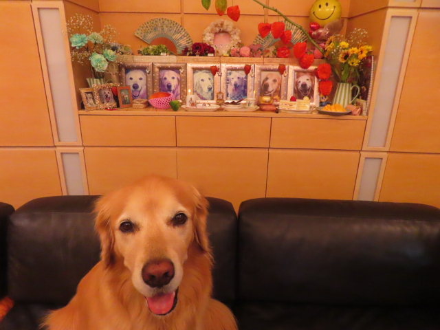 ファイル 8977-5.jpg