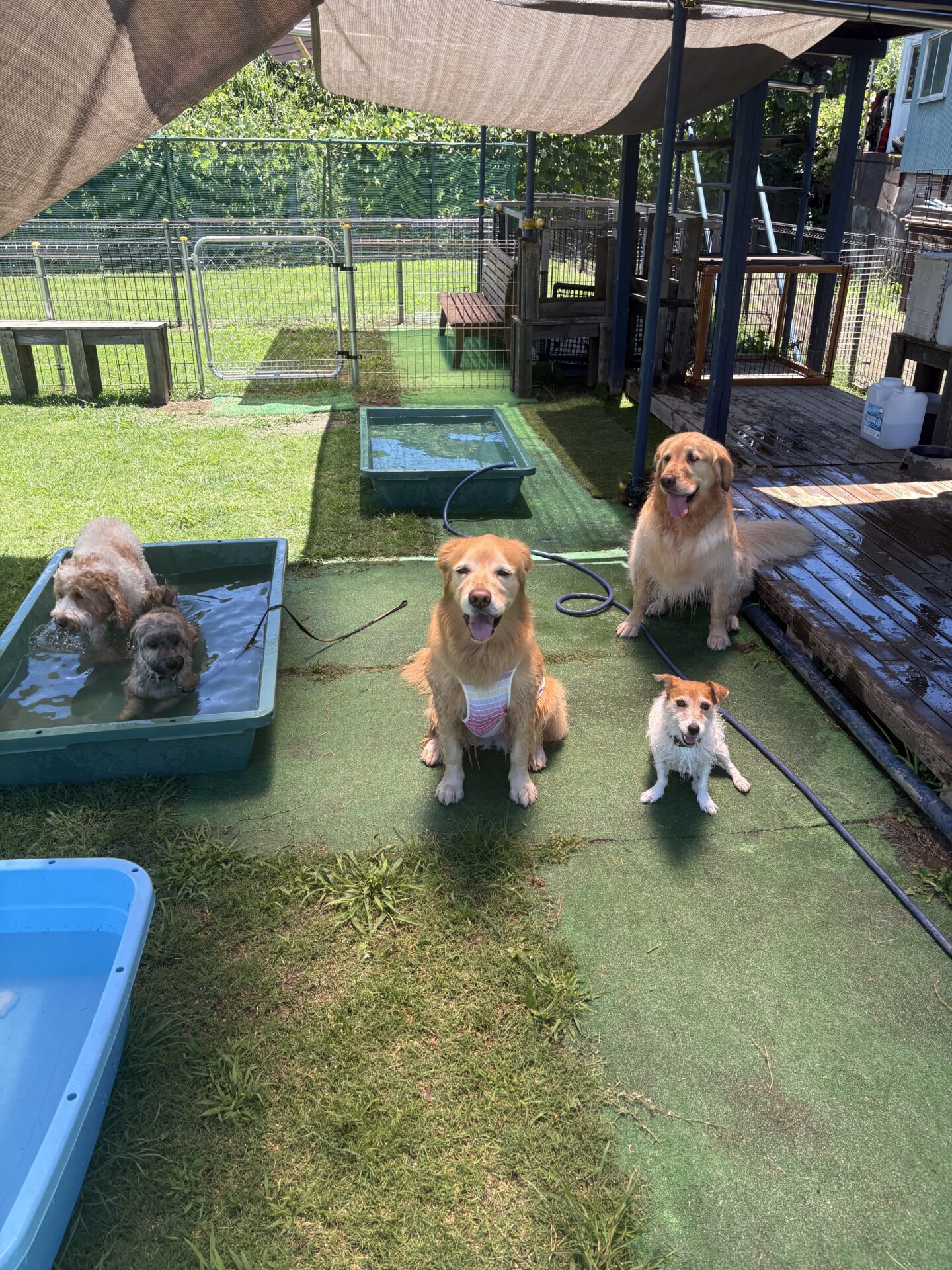 ファイル 8978-1.jpeg