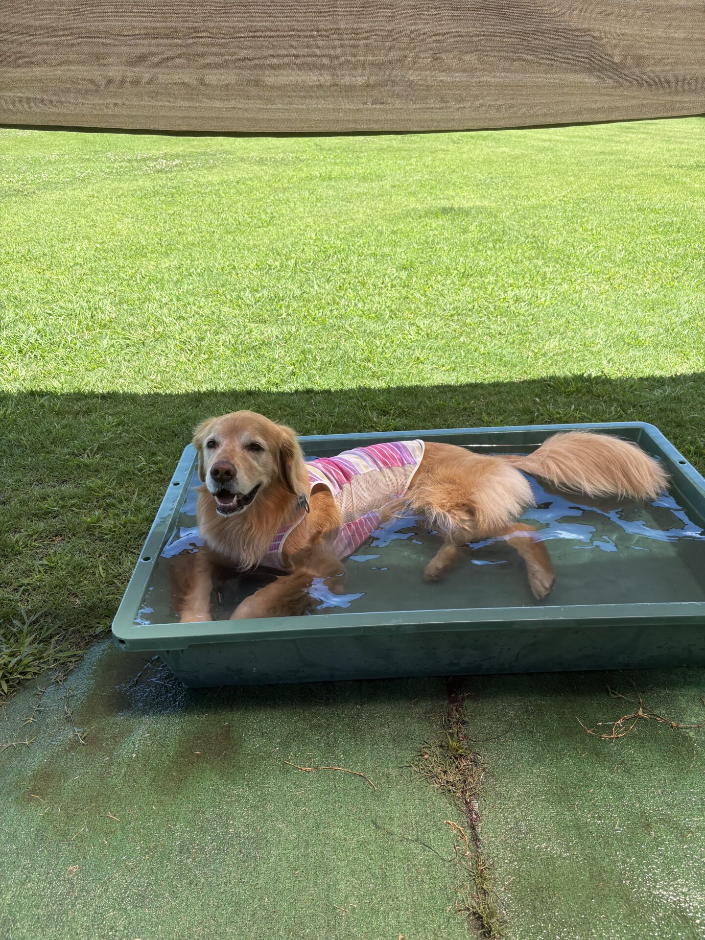 ファイル 8978-4.jpeg