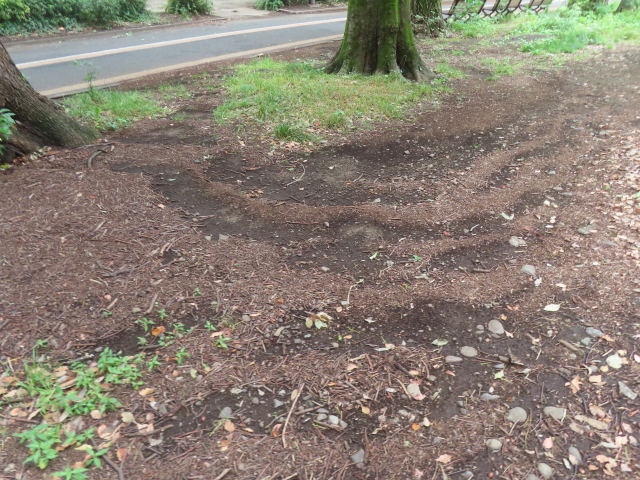 ファイル 8979-4.jpg