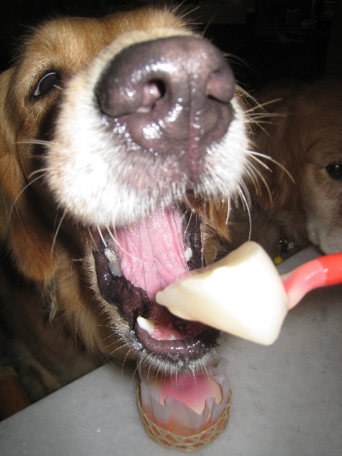 ファイル 898-3.jpg