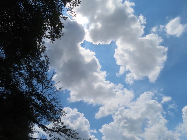 ファイル 8980-3.jpg