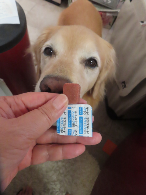 ファイル 8980-4.jpg