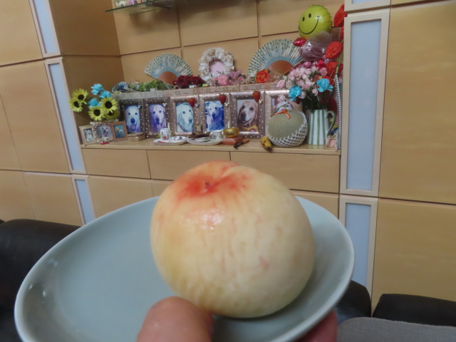 ファイル 8980-5.jpg