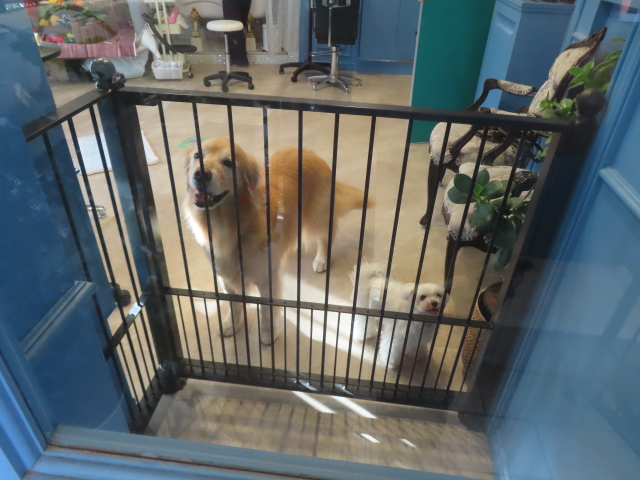 ファイル 8981-2.jpg