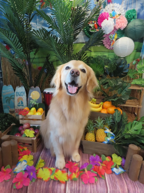 ファイル 8981-3.jpg