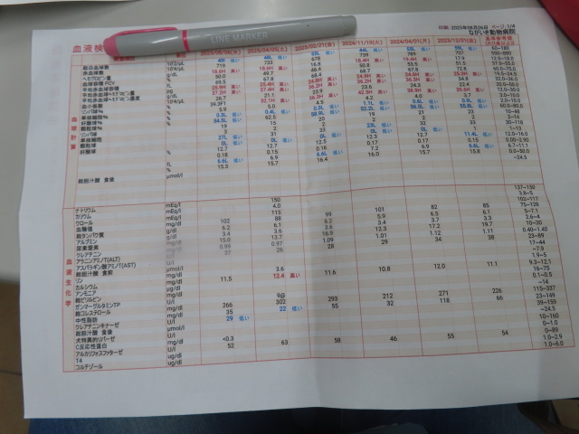 ファイル 8983-4.jpg