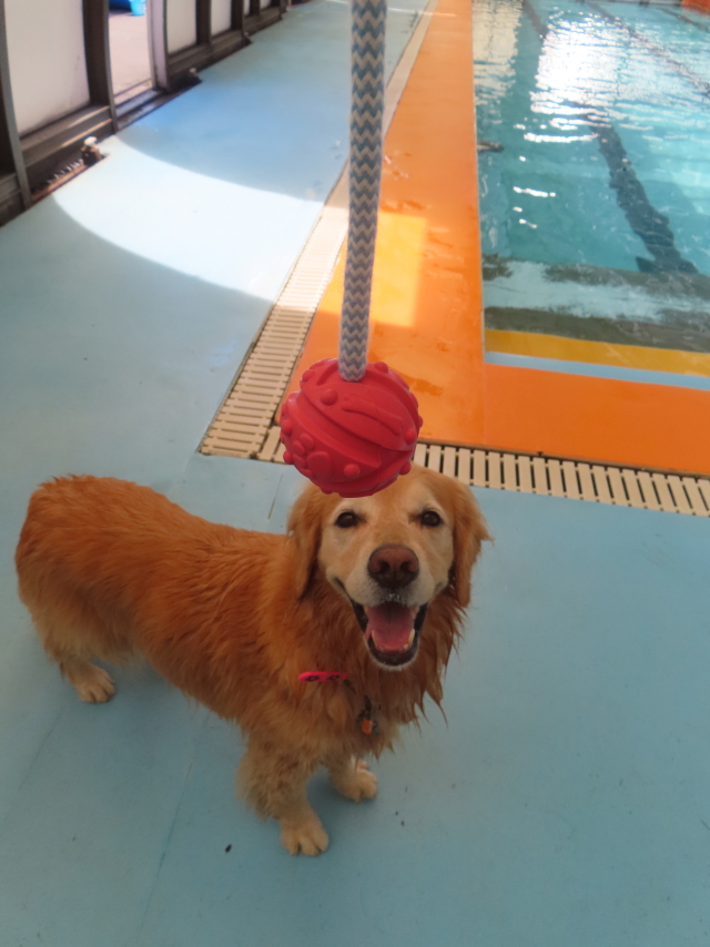 ファイル 8984-1.jpg