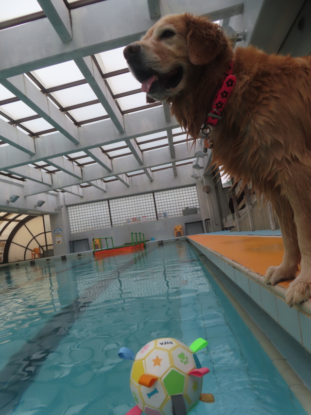 ファイル 8984-4.jpg