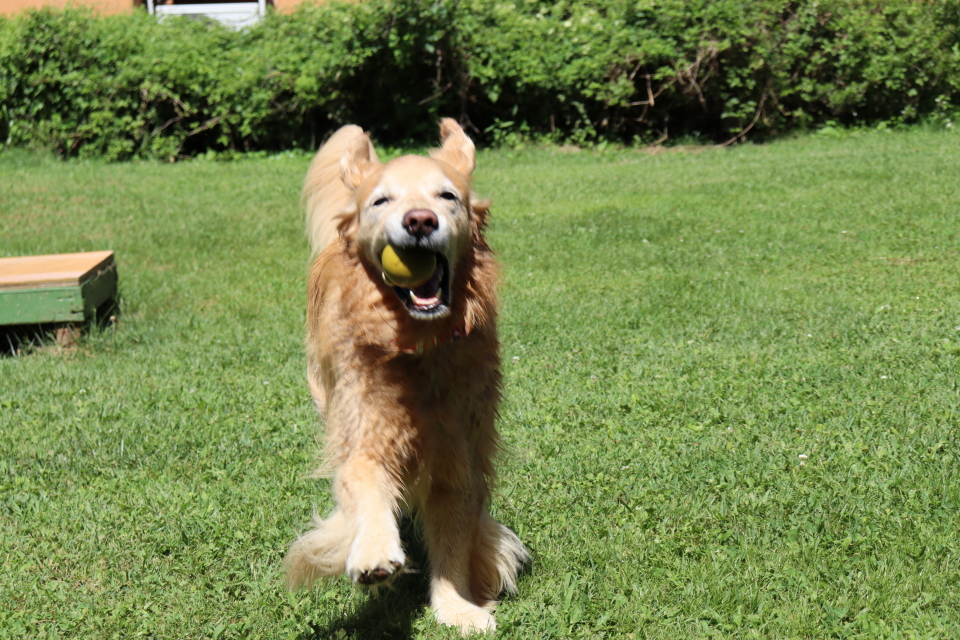 ファイル 8984-5.jpg